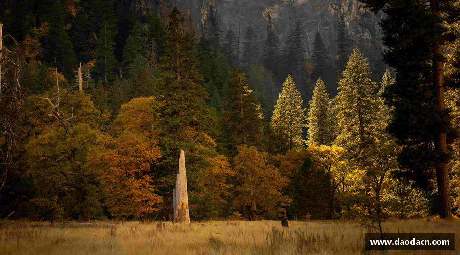 熊猫体育(中国版权)官方网站-最全赛事直播平台运动梦想，无限可能！